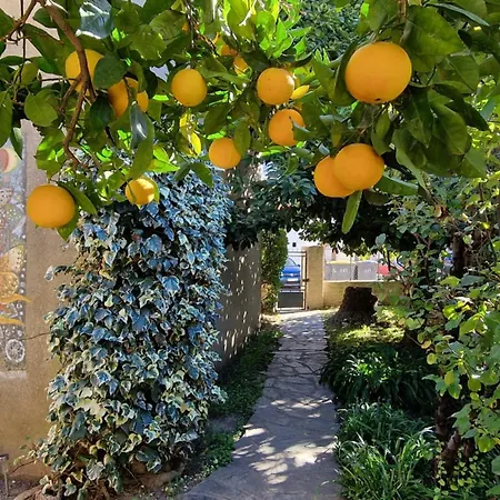 Maison Banyuls-sur-mer, Proche Et Commerces, Climatisee A L'etage - Fr-1-309-34 * Banyuls-sur-Mer