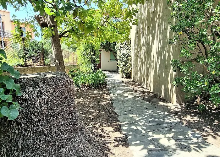 Maison Banyuls-sur-mer, Proche Et Commerces, Climatisee A L'etage - Fr-1-309-34 Banyuls-sur-Mer